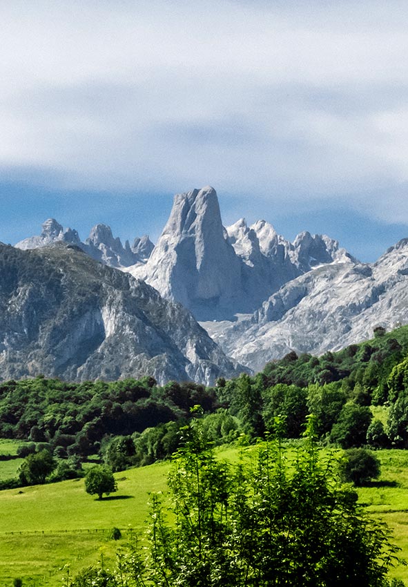 Naranjo-Bulnes-a